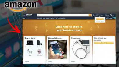 Foto van Amazon vs Shopify Wat is de beste optie om online te kopen en verkopen?