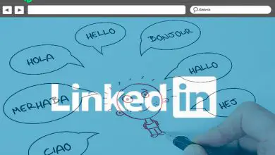 Photo of How to add a language to your LinkedIn profile skills? Step by step guide
