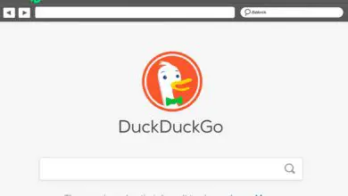 Photo of Duck Duck Go vs Google What are the differences between these internet search engines?