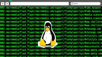 Foto van Linux Shell Wat is het, waar is het voor en hoe gebruik ik de commando's?