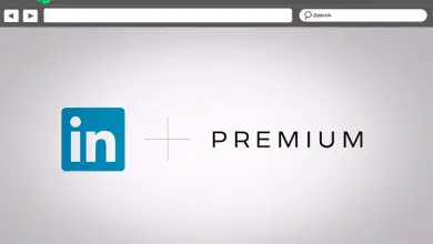 Foto dos tipos de contas premium do LinkedIn O que são e como são diferentes?