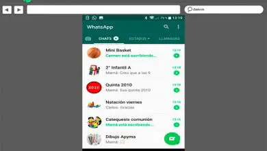 Photo of How to create a WhatsApp group to create a community? Step by step guide