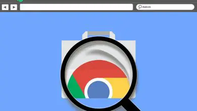 Photo of Chrome Webstore What is it, what is it for and how do I install one of its browser extensions?