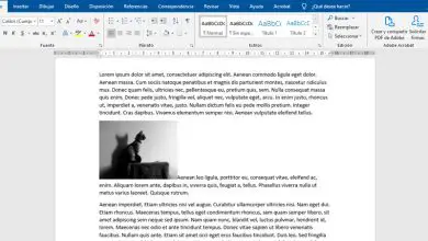 Photo of Comment adapter une image au texte dans Microsoft Word? Guide étape par étape