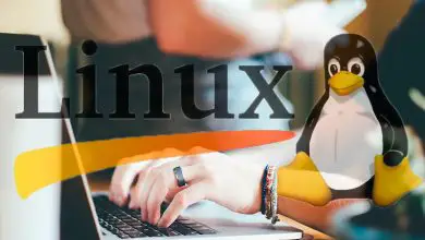 Photo of Comment gérer les utilisateurs et les groupes comme un pro sur Linux? Guide étape par étape