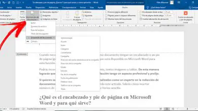 Photo of En-tête et pied de page De quoi s’agit-il, à quoi servent-ils et comment les appliquer dans Microsoft Word?