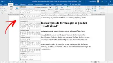 Photo of Format de formulaire dans Microsoft Word Qu’est-ce que c’est, quels sont ses outils et comment le configurer?