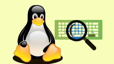 Foto van Hoe Linux helemaal opnieuw te installeren op een nieuw geformatteerde computer? Stap voor stap handleiding