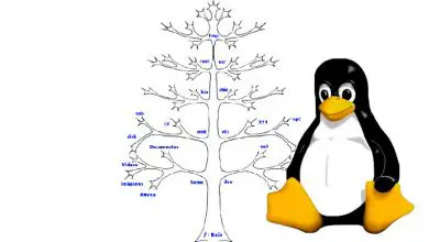 Photo of Structure du répertoire Linux De quoi s’agit-il et comment fonctionne l’ensemble du système de fichiers du système d’exploitation?