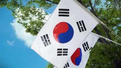 Photo of Le meilleur VPN pour la Corée du Sud en 2020 pour protéger votre vie privée