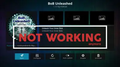 Foto von BoB Unleashed funktioniert nicht: Beste Alternativen zu BoB Unleashed für Kodi