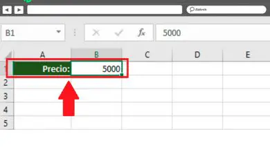 Photo of Comment calculer la TVA dans une feuille de calcul comptable Microsoft Excel? Guide étape par étape