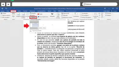 Photo of Comment faire et insérer une capture d’écran dans Microsoft Word? Guide étape par étape