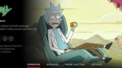 Photo of Rick et Morty sont-ils sur Netflix? Comment regarder l’émission n’importe où