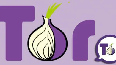 Photo of Comment naviguer sur le Web profond avec le navigateur Tor de manière 100% sûre? Guide étape par étape
