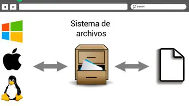 Photo of Extension de fichier système; Quels sont-ils, à quoi servent-ils et quels sont les types?
