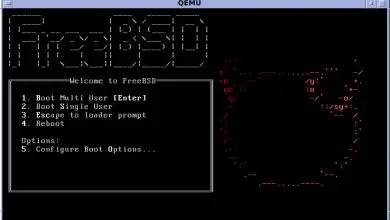 Photo of FreeBSD De quoi s’agit-il, à quoi sert-il et quelles sont ses principales fonctionnalités?