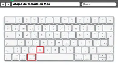 Photo of Quels sont les raccourcis clavier les plus utilisés sur Mac? Liste complète 2020