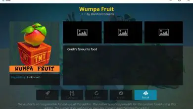 Foto van Wumpa Fruit Kodi-supplement