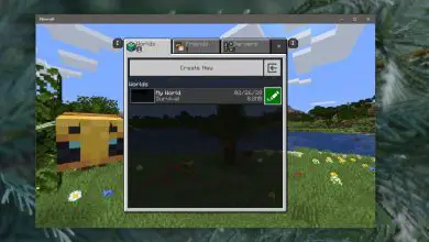 Photo of Comment changer le gameplay d’un monde dans Minecraft sur Windows 10