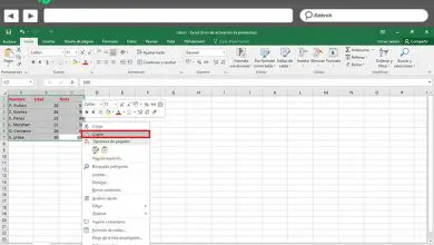 Photo of Comment insérer une feuille de calcul Microsoft Excel dans un document Word? Guide étape par étape