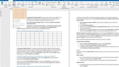 Photo of Comment insérer et supprimer des lignes et des colonnes d’un tableau Microsoft Word? Guide étape par étape