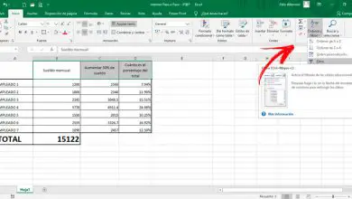 Photo of Comment alphabétiser les données de vos feuilles de calcul avec les filtres Microsoft Excel? Guide étape par étape