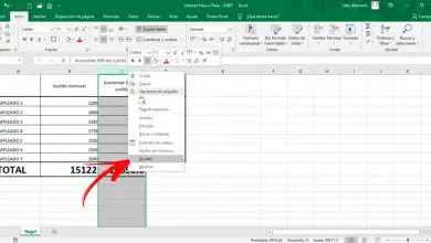 Photo of Comment masquer des lignes et des colonnes dans mes feuilles de calcul Microsoft Excel? Guide étape par étape