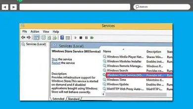 Photo of Comment utiliser WSAPPX pour éviter une consommation excessive du processeur sous Windows 8? Guide étape par étape