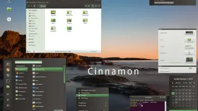 Photo of Comment installer le thème Ambiance Crunchy GTK sur Linux