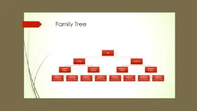 Photo of Comment créer un arbre généalogique avec Microsoft Excel? Guide étape par étape