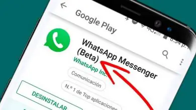 Photo of Comment devenir bêta-testeur WhatsApp sur votre mobile iOS ou Android