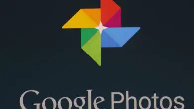 Photo of Comment télécharger toutes les photos de Google Photos