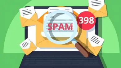 Foto van SPAM: Wat zijn zogenaamde spam en wat zijn hun soorten?