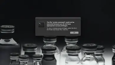 Photo of Comment réparer «Le fichier n’a pas pu être exécuté car vous ne disposez pas des privilèges d’accès appropriés» dans macOS