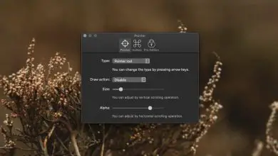 Foto de como destacar o cursor do mouse no macOS