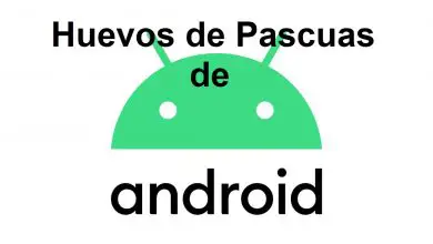 Photo of Android Easter Egg Quels sont tous les «Easter Eggs» cachés dans le système d’exploitation Google Mobile? Liste 2020