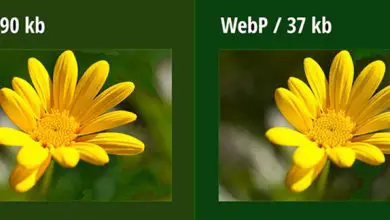 Photo of Comment convertir des images WebP en JPG ou PNG et les utiliser dans vos créations? Guide étape par étape