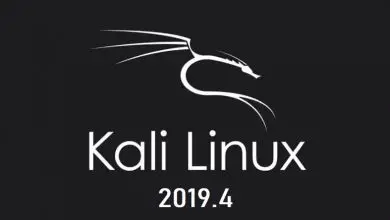 Photo of Comment mettre à jour Kali Linux vers la dernière version disponible rapidement et facilement? Guide étape par étape