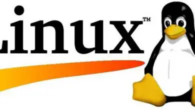 Photo of Quelles versions et combien de versions du système d’exploitation Linux existe-t-il à ce jour? Liste 2020
