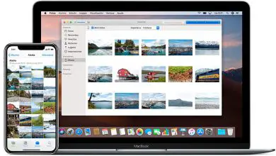 Photo of Comment exécuter des applications iOS sur un ordinateur Mac rapidement et facilement? Guide étape par étape