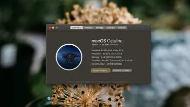 Photo of Comment trouver des applications 32 bits sur macOS