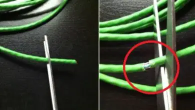 Photo of Comment faire un câble réseau droit ou croisé et en quoi les deux sont-ils différents? Guide étape par étape