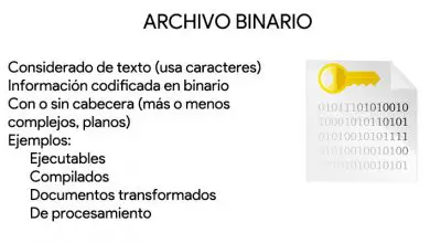 Photo of Fichiers binaires De quoi s’agit-il et quels types de documents informatiques chiffrés existe-t-il?