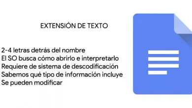 Photo of Extension de fichier texte; Quels sont-ils, à quoi servent-ils et quels sont les types?