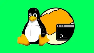Photo of Comment gérer les fichiers et répertoires sur votre ordinateur Linux? Guide étape par étape