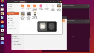 Photo of Comment mettre à niveau vers Ubuntu 19.10