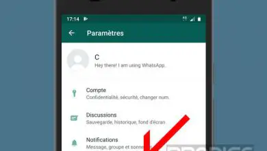 Photo of WhatsApp: Comment désactiver le téléchargement automatique de fichiers pour enregistrer des données