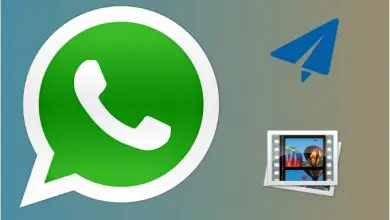 Photo of WhatsApp: Comment enregistrer une vidéo et créer un GIF pour l’envoyer