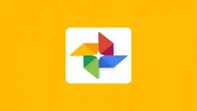 Photo of Découvrez comment télécharger des photos de Google Photos sur Android et PC